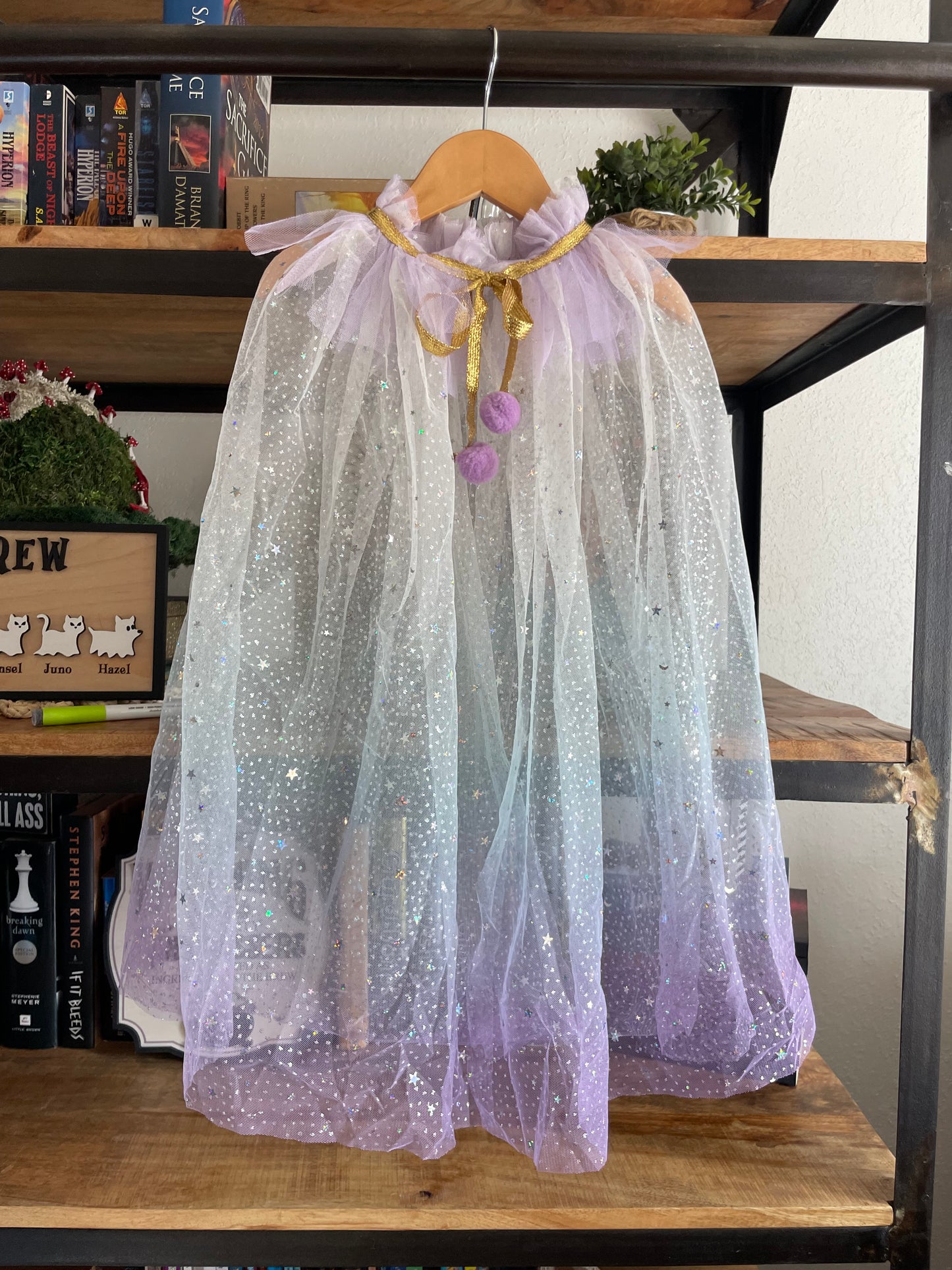 Shooting Stars Cape EOTW