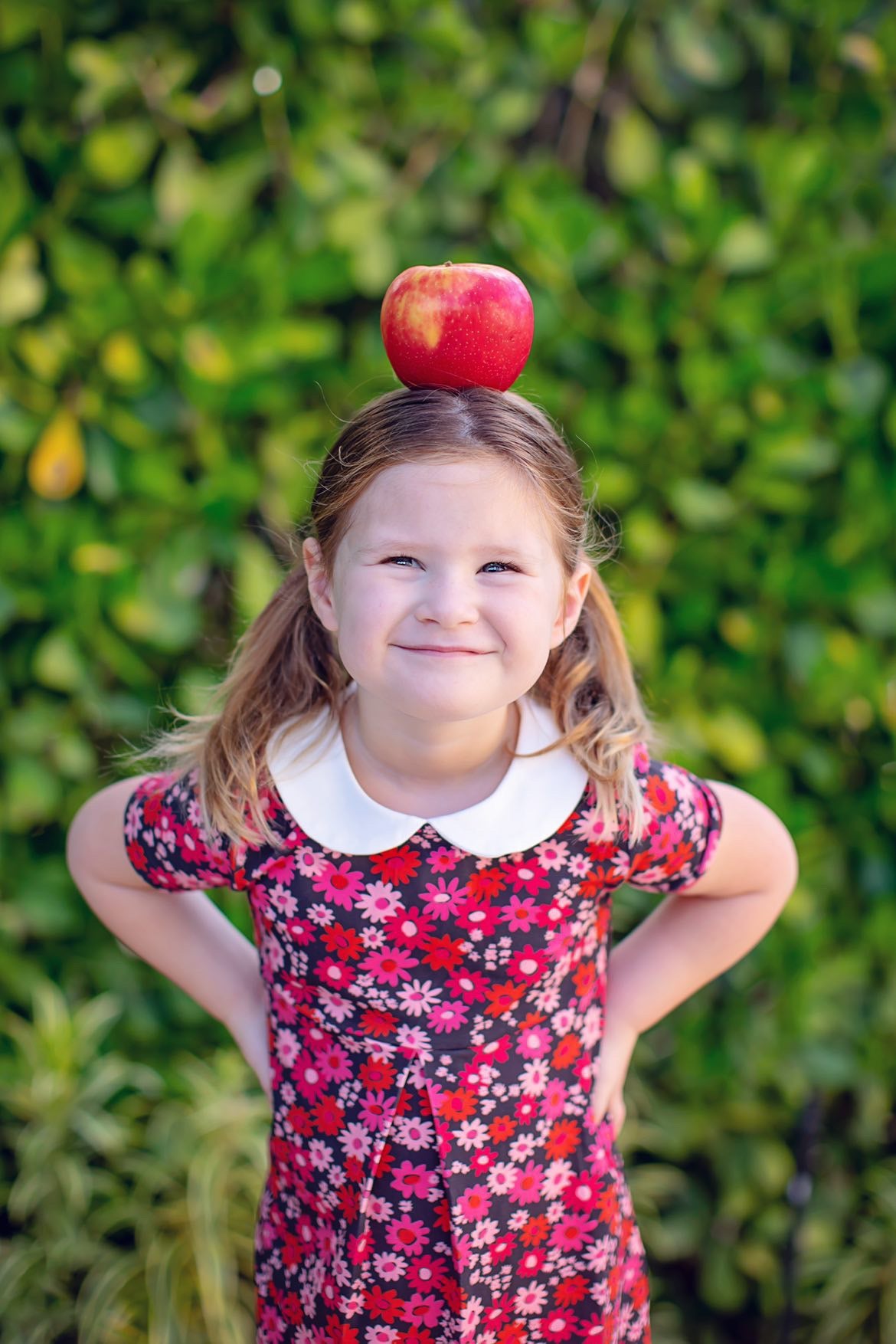 Retro Mod Navy and Pink Flower Peter Pan Collar Floral Dress