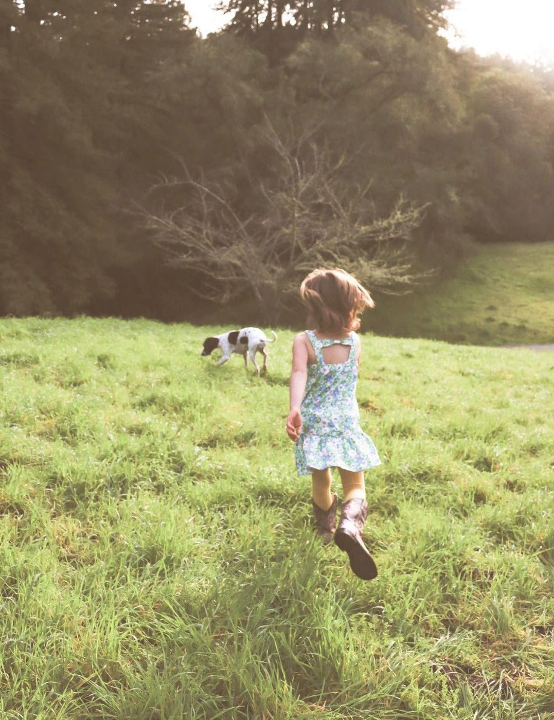 Blue and Green Flower Power Drop Waist Dress for Babies, Toddler and Girls